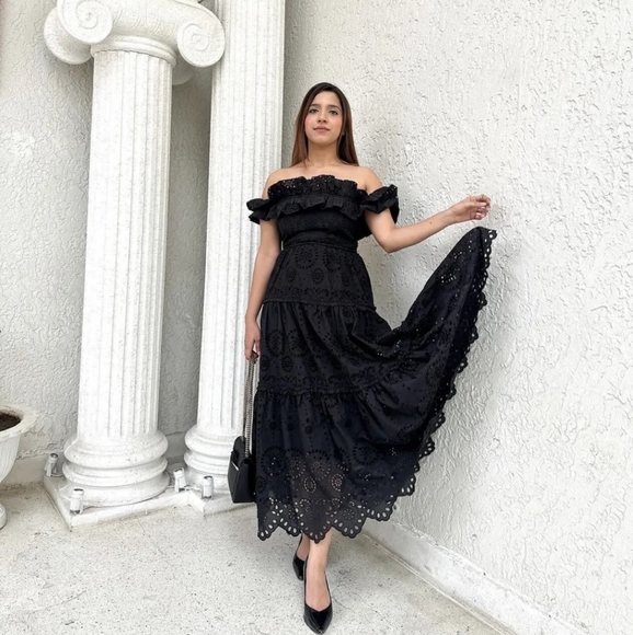 NWTs zara limited edition eyelet embroidered maxi dress xsmall - Picture 11 of 12